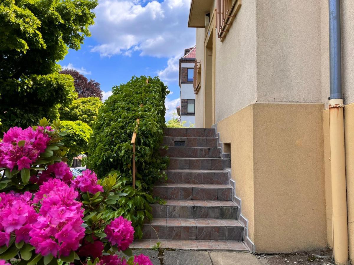 Kleines Studio Am Uni-Campus - Perfekt Fuer Junge Unternehmungslustige Dresden Dış mekan fotoğraf
